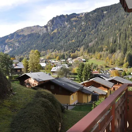 Cosy Avec Belle Vue Sur Les Pistes, Proche Des Remontees A Chatel, Animaux Acceptes - Fr-1-693-77 Apartment *